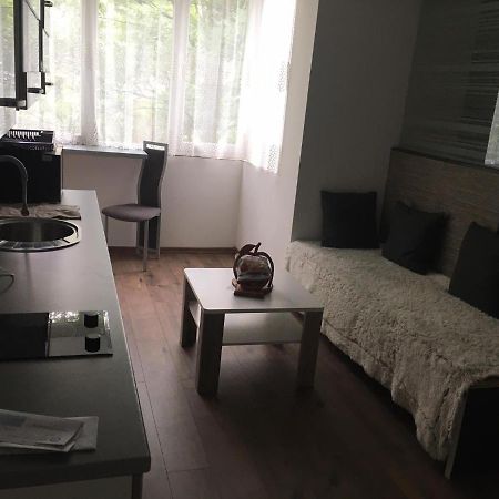 Apartment In The Center Of The Old City, Budzak 14 Sarajevo Luaran gambar