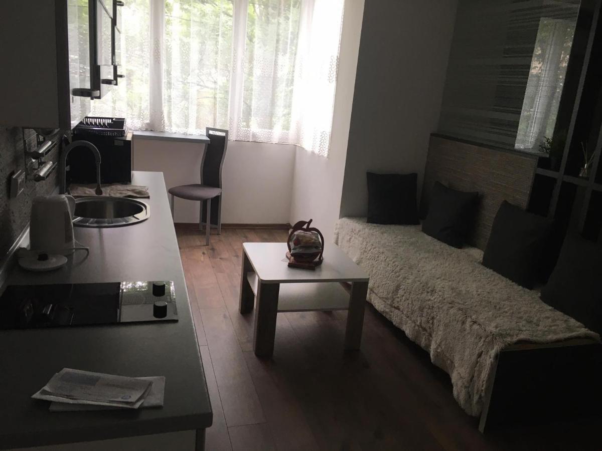 Apartment In The Center Of The Old City, Budzak 14 Sarajevo Luaran gambar